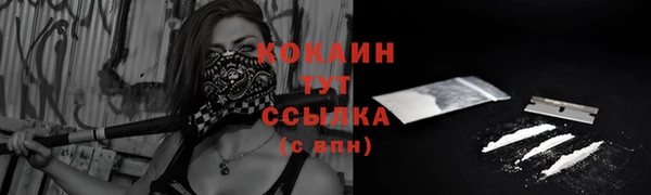 прущий лед Богородицк