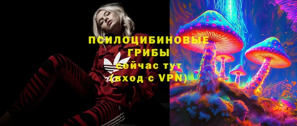 крисы Богданович