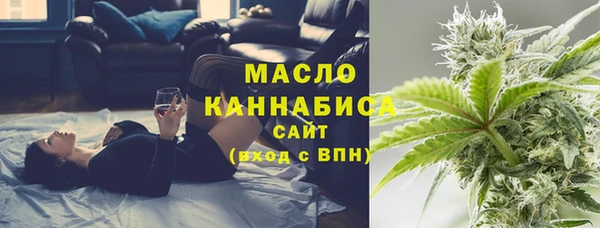 соль ск Богородск